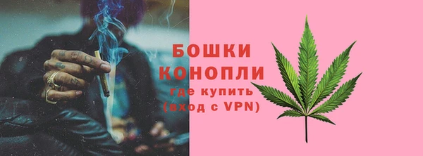 винт Белокуриха