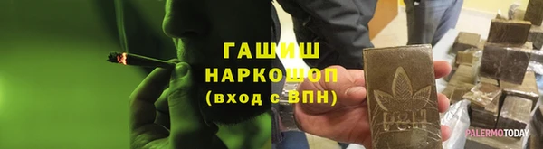 шишки Белоозёрский