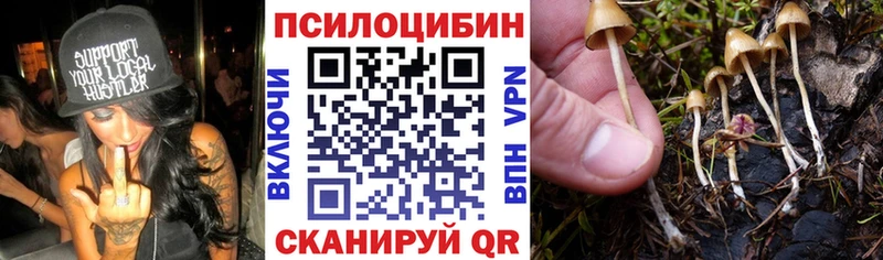 Галлюциногенные грибы GOLDEN TEACHER  Гулькевичи 